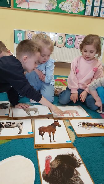 Marzec u Żabek - 26 marca