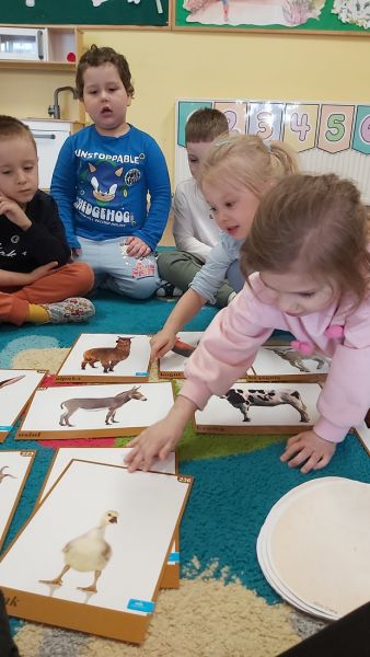 Marzec u Żabek - 26 marca